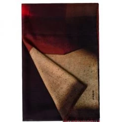 Akris Colorblock Cashmere Scarf -Akris Sales Shop unnamed file 54