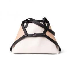 Akris Small Ai Colorblock Leather Tote